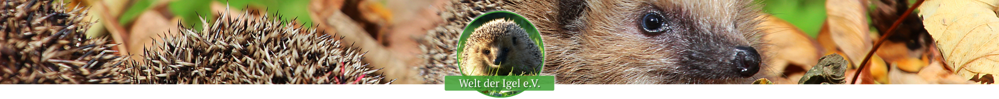 Welt der Igel e.V.