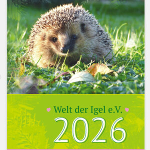 Welt der Igel Wandkalender - Din A4